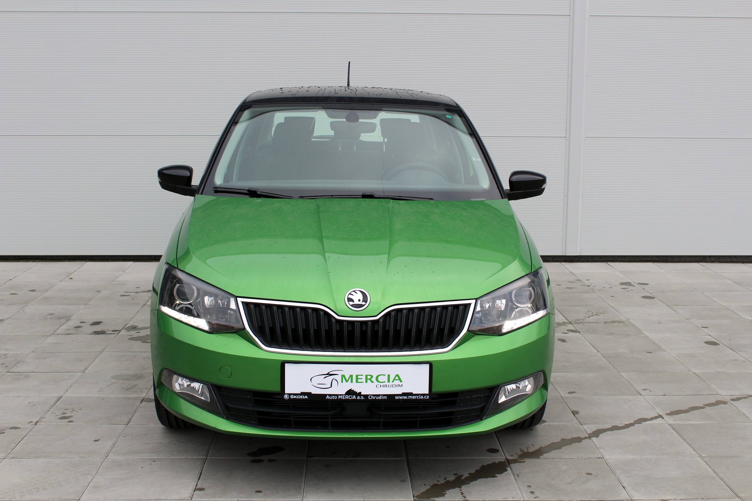 Skoda fabia 4 поколения